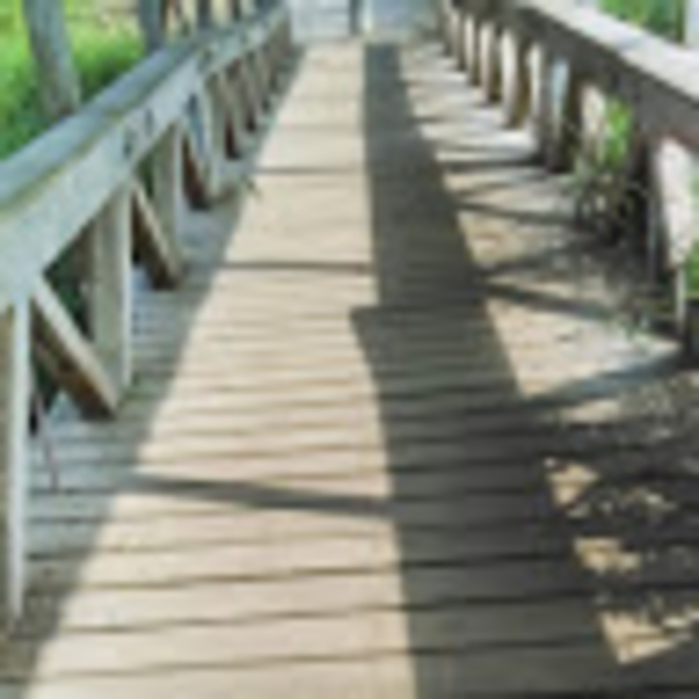 Meet your Posher, Gbemisola